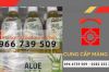 Dịch vụ cung cấp màng CO